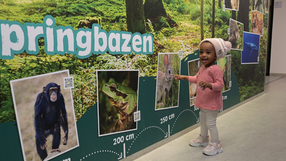 Afbeelding van klein kindje bij een muur met afbeeldingen van dieren en hun lengte